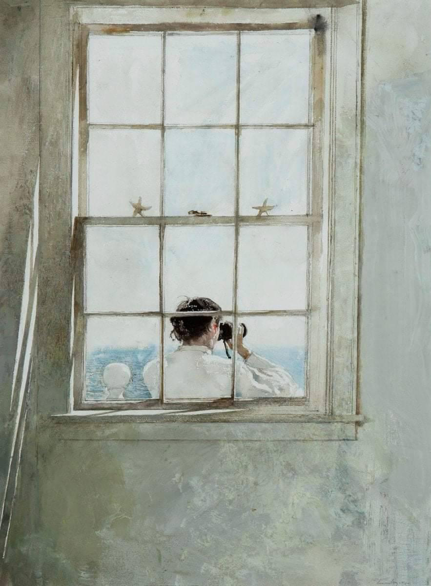 Starfish-Andrew-Wyeth